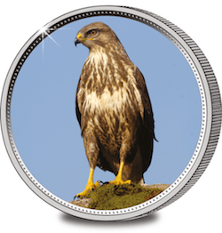 Great British Collection Medal Buzzard