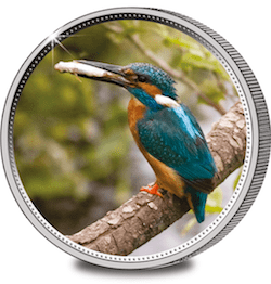 Great British Collection Medal Kingfisher