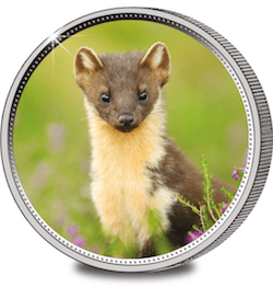 Great British Collection Medal Pine Marten