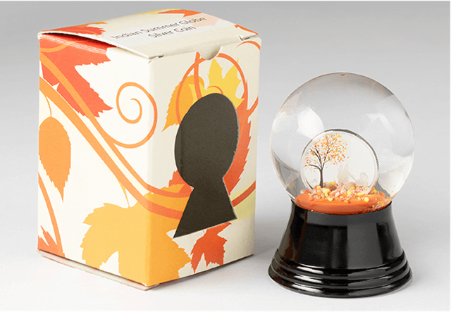 Indian-Summer-Snow-Globe-Silver-Coin-Globe-and-Box-1.png