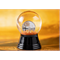Indian-Summer-Snow-Globe-Silver-Coin-Globe-Lifestyle-1.png