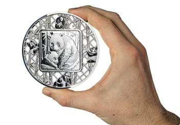 Panda Filigree Silver 2oz Coin in hand