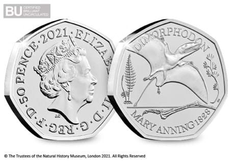 This 50p is the 3rd coin to be released in the Mary Anning 50p Collection. It features a design of the Dimorphodon and is certified as super Brilliant Uncirculated quality.