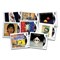 Paul-McCartney-Framed-Royal-Mail-Stamps-Product-Images-All-Stamps.jpg
