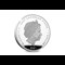 The Princess Diana Photographic Coin Obverse