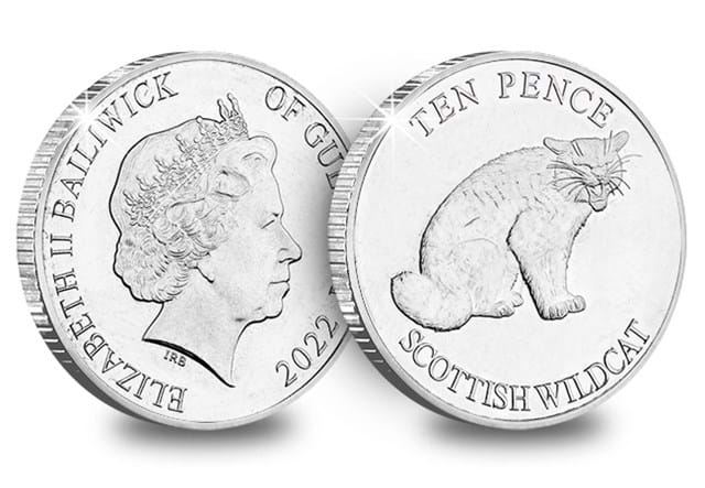 Woodland Mammals 10p Scottish Wildcat Obverse and Reverse