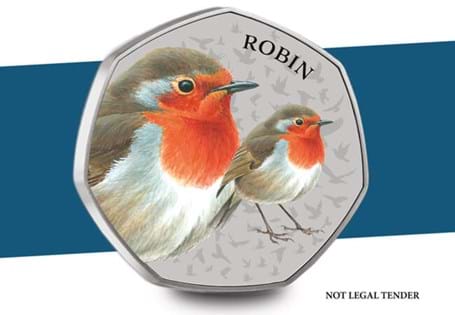 This is the first Commemorative in the Great British Birds Collection. Designed by world renowned wildlife illustrator, Mike Langman, it features the Robin in vivid full colour.