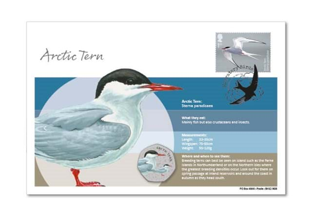 Migratory Birds Stamp And Commemorative Covers Collection Arctic Tern