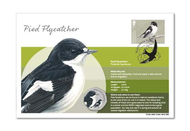 Migratory Birds Stamp And Commemorative Covers Collection Pied Flycatcher