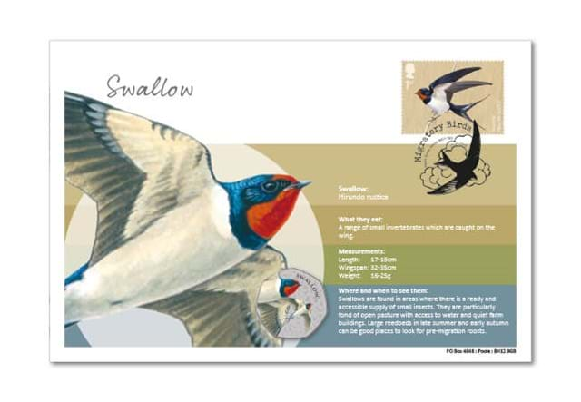 Migratory Birds Stamp And Commemorative Covers Collection Swallow