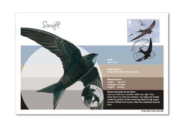 Migratory Birds Stamp And Commemorative Covers Collection Swift