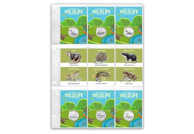 Wetland Animals 10Ps In Folder
