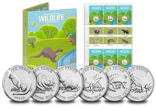 Wetland Animals 10Ps Full Collection