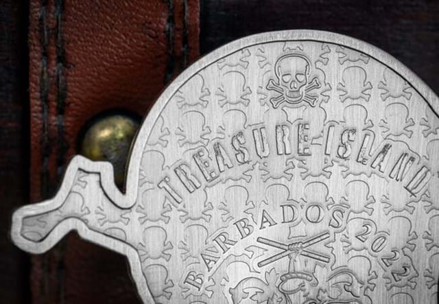 Treasure Island 5Oz Silver Skull Lifestyle 5