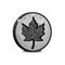 Canada 2023 Incuse Maple Leaf 1Oz Silver Coin Reverse