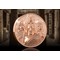 Sparta Coin Reverse