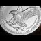 2024 US Silver Eagle 1Oz Coin Lifestyle 05