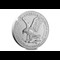 2024 US Silver Eagle 1Oz Coin Obv