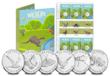 This set celebrates some of the British Isles' most loved Heathland Mammals; the Eurasian Hobby, Small Copper Butterfly, Common Heath Moth, Dartford Warbler, Green Tiger Beetle and Natterjack Toad.