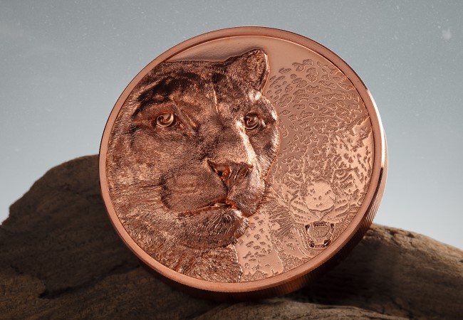 The Snow Leopard Ultra-High Relief 50g Copper Coin