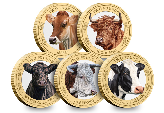 The Heritage Cattle Breeds Colour £2 Coin Set