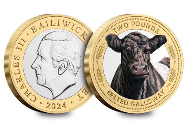 Cow BU £2 Belted Galloway Obv Rev