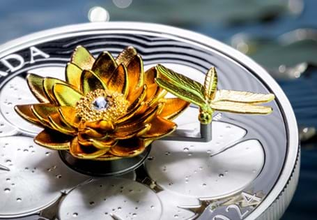 This coin has been struck from 5 ounces of pure silver to a Proof finish by The Royal Canadian Mint. Featuring a 3D gravity activated dragonfly that circles the water lily, both plated in yellow gold.