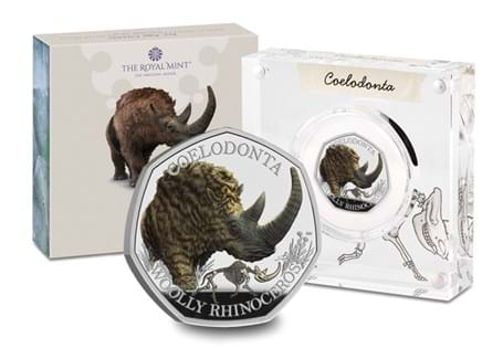 The Woolly Rhino 50p coin from The Royal Mint, struck from Sterling Silver with vibrant colour print.