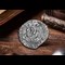 Henry VIII Replica Groat Lifestyle 04