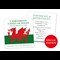 CL St Davids Day Web Images 2