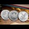 2025 Silver Flagship Coins Lifestyle 04